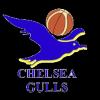 https://img.zhizhuzhibos.com.cn/img/basketball/team/0d36b73786230e17d7d718ab10adab87.png