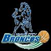 https://img.zhizhuzhibos.com.cn/img/basketball/team/2174e7e8658c453cb46cf31c8e8a8cd9.png