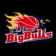 https://img.zhizhuzhibos.com.cn/img/basketball/team/bcb478f91fa9177647848bc08ccc209c.png