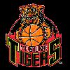 https://img.zhizhuzhibos.com.cn/img/basketball/team/c396165af2b9468b95db1864473952bb.png