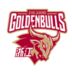 https://img.zhizhuzhibos.com.cn/img/basketball/team/d1d77f07287fe840a7e77459e5bd1bfc.png