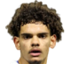 https://img.zhizhuzhibos.com.cn/img/football/player/19198e45f81a0add4651fdb6197a3d8c.png