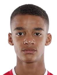 https://img.zhizhuzhibos.com.cn/img/football/player/36ffb830d16dba074b96e5c8c1a2608f.png