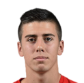 https://img.zhizhuzhibos.com.cn/img/football/player/58ea8201b780d463ed9d9c54005a6969.png