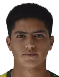 https://img.zhizhuzhibos.com.cn/img/football/player/593ada0d7956416c62dcbb7289ee303b.png