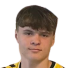 https://img.zhizhuzhibos.com.cn/img/football/player/880111230830039566518578f2ef52b1.png