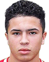 https://img.zhizhuzhibos.com.cn/img/football/player/d95054a0e727f334463fc369b55f13a2.png