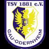 https://img.zhizhuzhibos.com.cn/img/football/team/0425718c842cc1330a6507bdde3c1da4.png