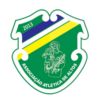 https://img.zhizhuzhibos.com.cn/img/football/team/079dd394cc2355231bb0aee65bd140a2.png