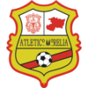 https://img.zhizhuzhibos.com.cn/img/football/team/1cd995bdc2b652d31129d027afb27ed8.png