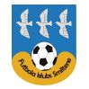 https://img.zhizhuzhibos.com.cn/img/football/team/259a1106a33b56d2bb3c458a62ffa2ea.png