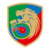 https://img.zhizhuzhibos.com.cn/img/football/team/2eddedc5ec7a868fc63ef7491633c284.png