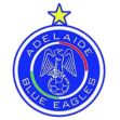 https://img.zhizhuzhibos.com.cn/img/football/team/8363baf7f19dca845581f1d64de9908c.png
