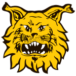 https://img.zhizhuzhibos.com.cn/img/football/team/9f170a9ffc15b4141b790f4ff042cc51.png