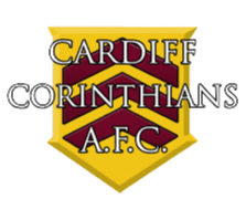 https://img.zhizhuzhibos.com.cn/img/football/team/afe292611312572794465f5af748954a.png