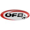 https://img.zhizhuzhibos.com.cn/img/football/team/be70130b180875a576e98a5a33c8238a.png