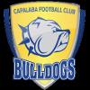 https://img.zhizhuzhibos.com.cn/img/football/team/da8bfcabb427caa8c01fbb244a1f77aa.png