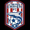 https://img.zhizhuzhibos.com.cn/img/football/team/e11f58ba6522a5c6ab7b037e2cd110e9.png